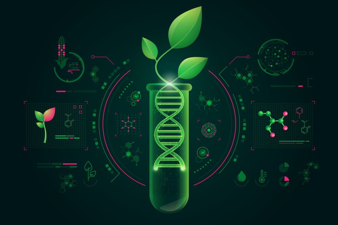 Curso de Biologia - Enem